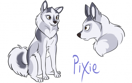 Detail Pixie