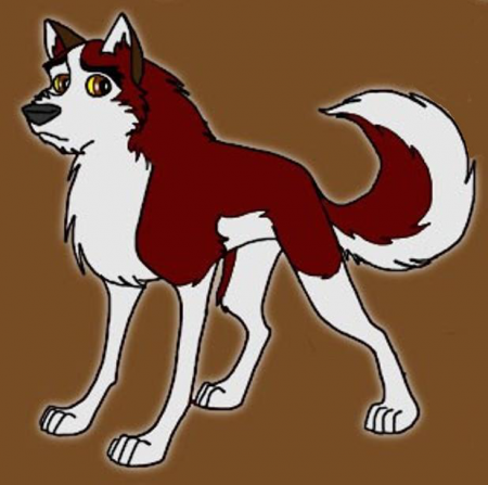 Detail Dingo (Calliope)