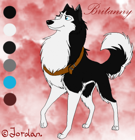 Detail Britanny