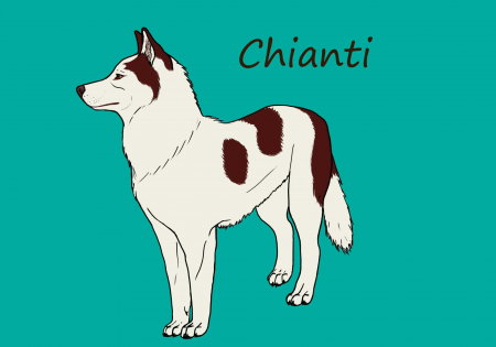 Detail Chianti (Mav)