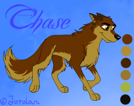 Detail Chase,