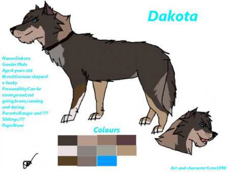 Detail Dakota(em)