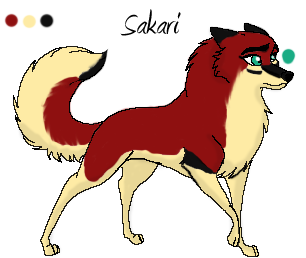 Detail Sakari (Kay-C)