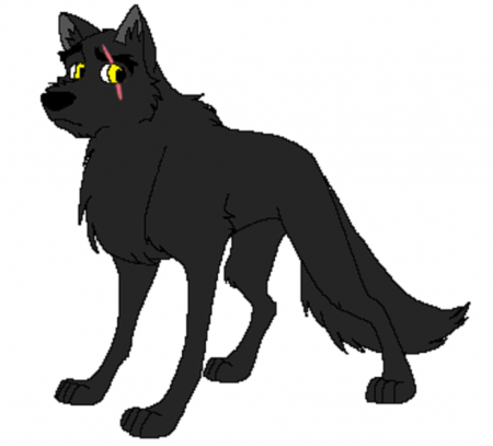 Detail -Razor-