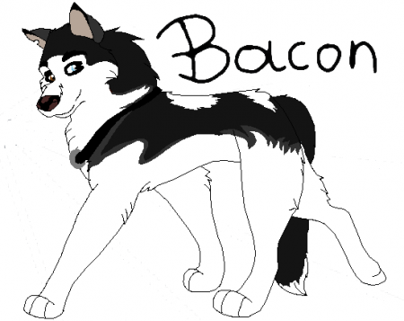 Detail Bacon (Calliope)