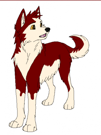 Detail Dingo (kemiro's)