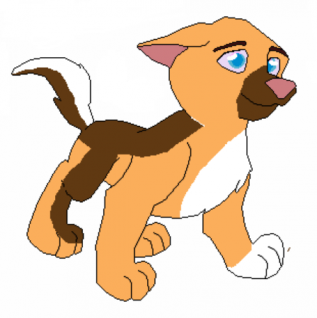 Detail Iditarod