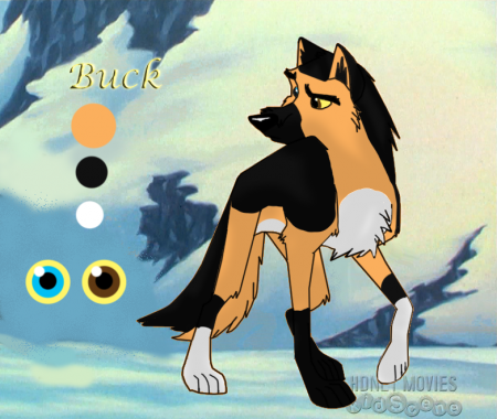 Detail ~Buck~