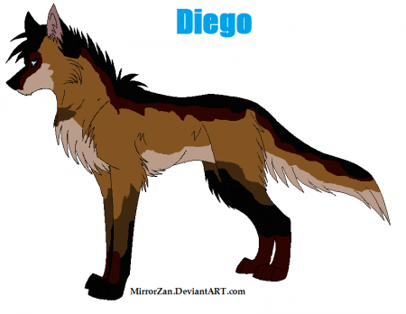 Detail Diego(shy)
