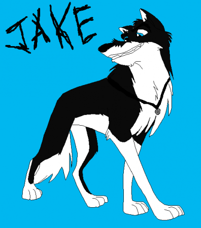 Detail ..Jake..