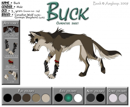 Detail -Buck