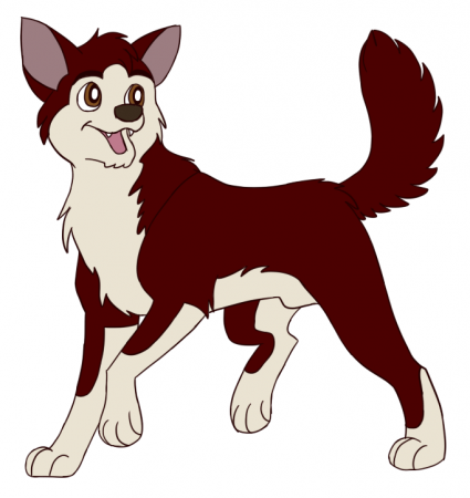 Detail Dingo (RA)