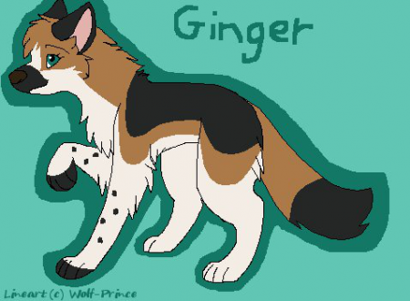 Detail Ginger.