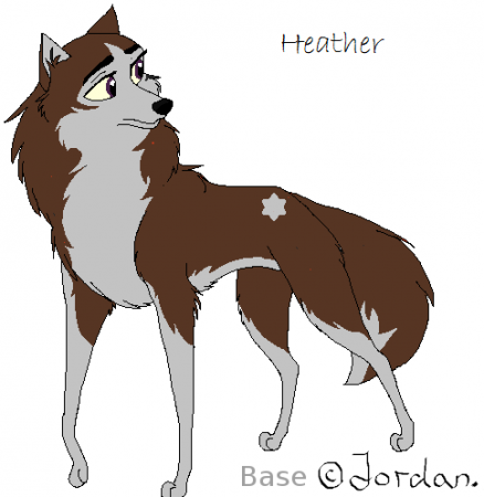 Detail Heather(Shelbyrocks)