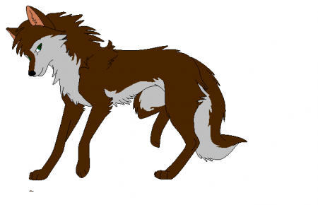 Detail Ana(Wild)