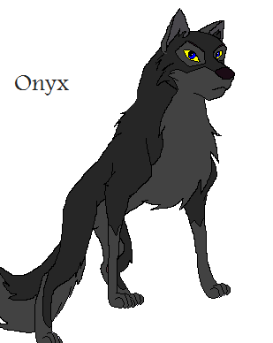 Detail Onyx(ART)
