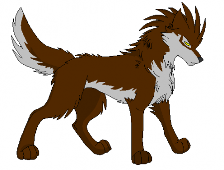 Detail Kira (Wild)