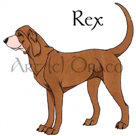Detail Rex †