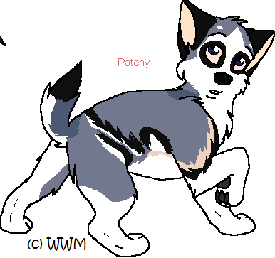 Detail Patchy