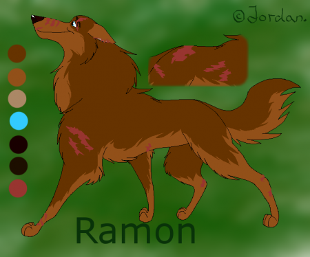 Detail Ramon