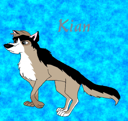Detail Kian.