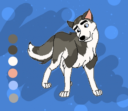 Detail Shelton (Shelty)