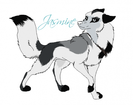 Detail Jasmine;