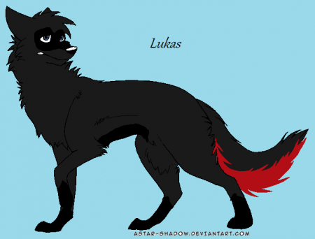 detail lukas