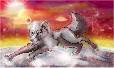Detail SnowDancer (AWJ)