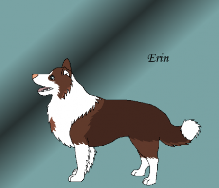 Detail Erin.