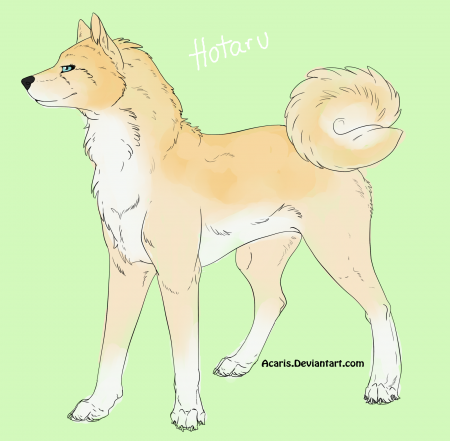 Detail Hotaru (蛍)