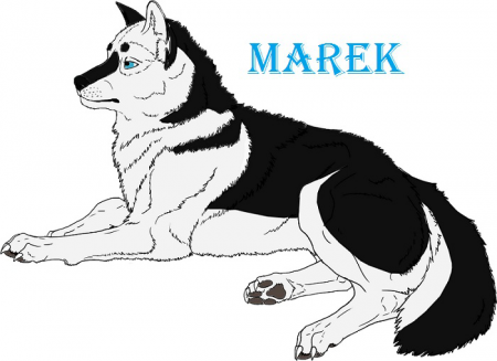 Detail Marek (L-R)