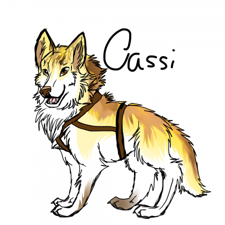 Detail Cassi(AWJ)