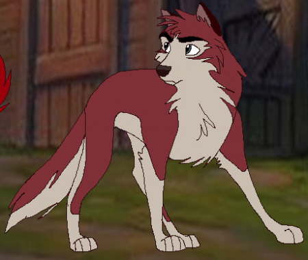 Detail Dingo (Kema)