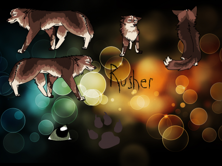 Detail ...:Rusher:...