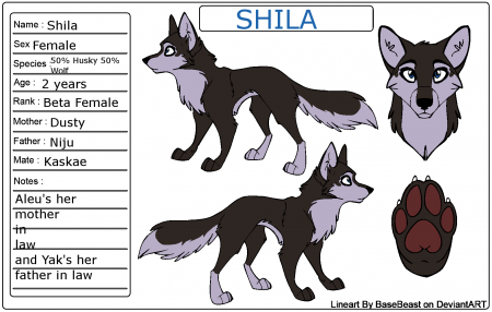 Detail Shila (HellPistol)