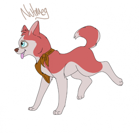 Detail ~ Nutmeg