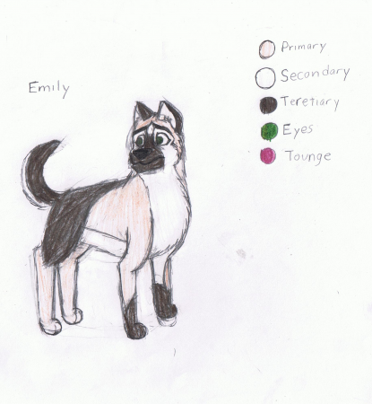 Detail Emily (ADNChris)
