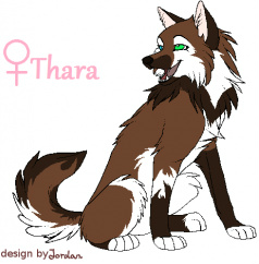 Detail Thara