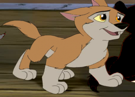 Detail Dex