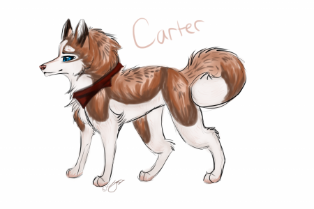 Detail Carter (AWJ)