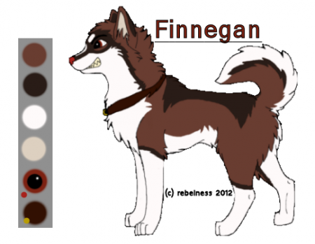 Detail Finnegan