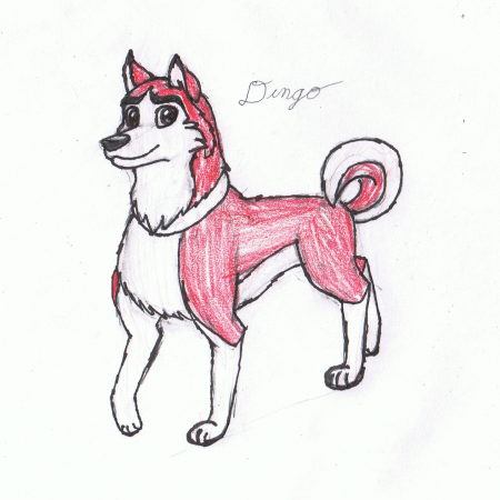 Detail Dingo (ADNC)