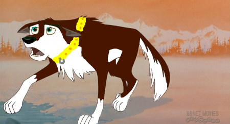Detail Blaze(RootBeerWolfDog)