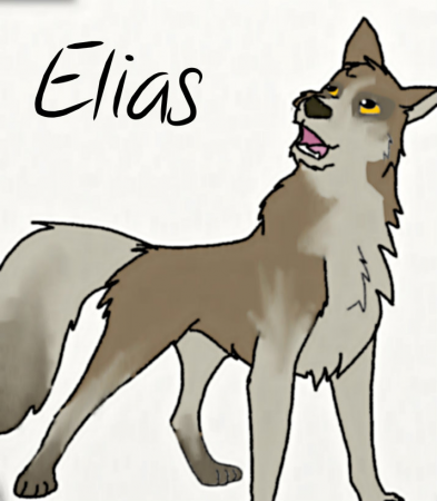 Detail Elias (ctsc)
