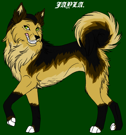 Detail ~Jayla.~
