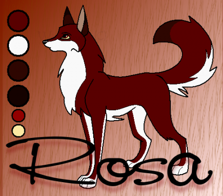 Detail Rosewood Balto