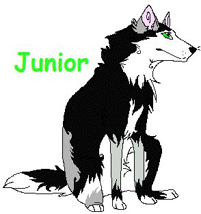 Detail Junior(Dodgerbaltoboltfan1)