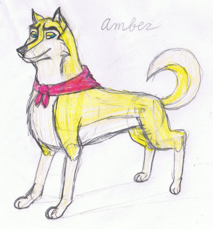 Detail Amber(KWD123)