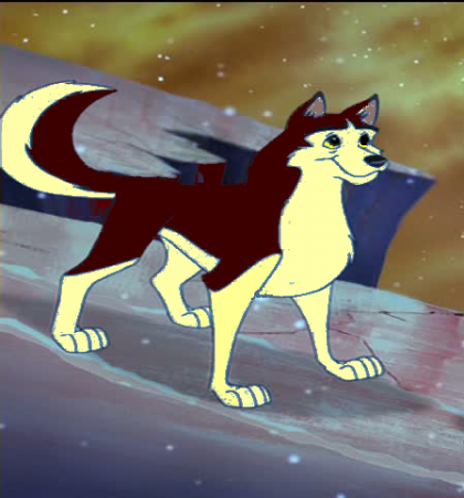 Detail Dingo(RootBeerWolfDog)